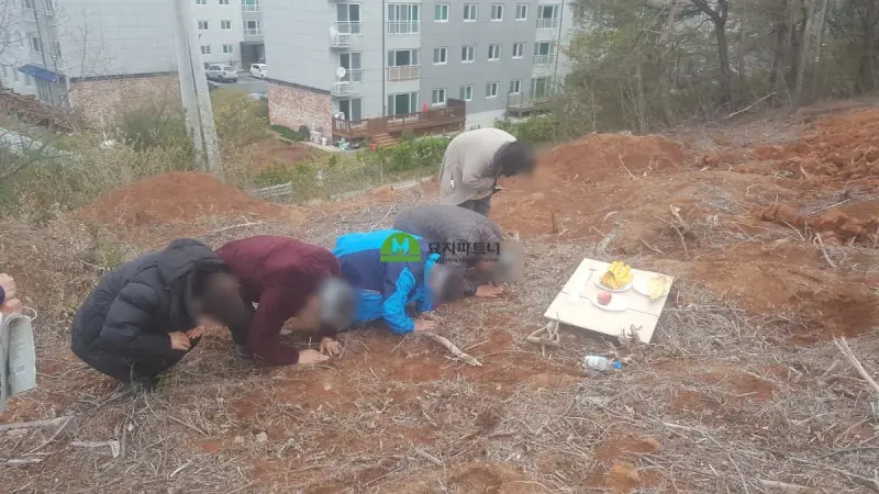 곡성 묘지이장 현장 사진 - 곡성 묘지이장 보상분묘는 이런 절차를 통해 합니다.