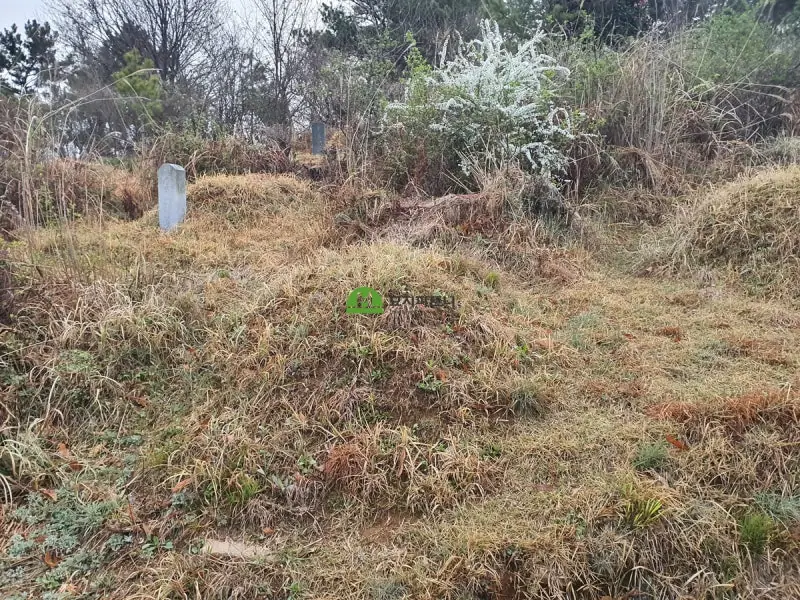 영광 묘지이장 현장 사진 - 영광 묘지이장 목관(木棺)이 미치는 영향