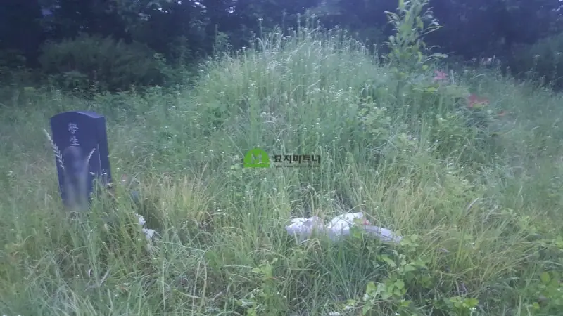 담양 묘지이장 현장 사진 - 담양 묘지이장과 탑다라니경에 대한 이야기