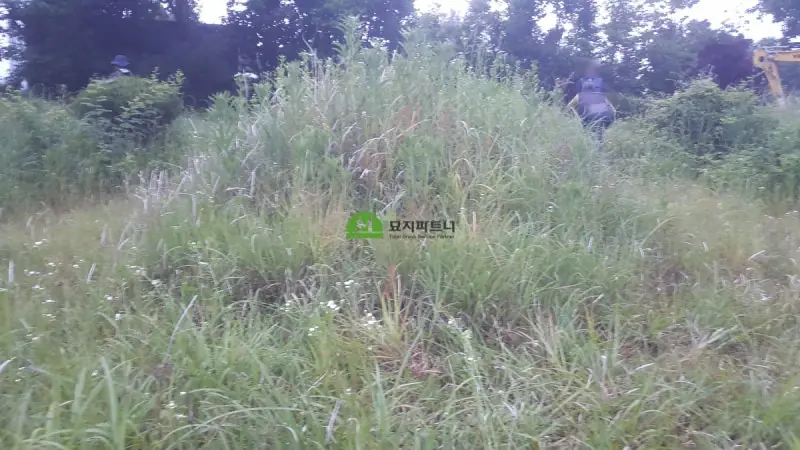 담양 묘지이장 현장 사진 - 담양 묘지이장과 탑다라니경에 대한 이야기