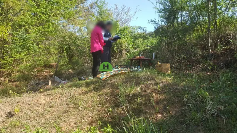 화순 묘지이장 현장 사진 - 화순 묘지이장 뿌리가 유골을 파고든 사례