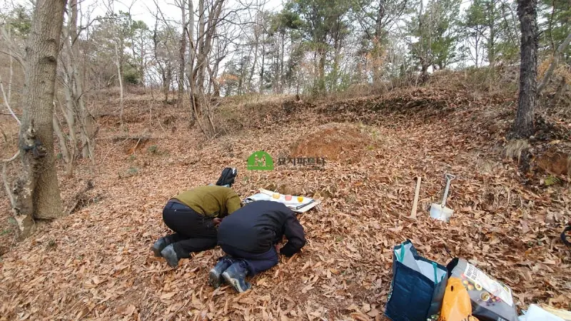 보성 묘지이장 현장 사진 - 보성 벌교 묘지이장 토괴화된 유골은 어떤 형태를 띠고 있을까