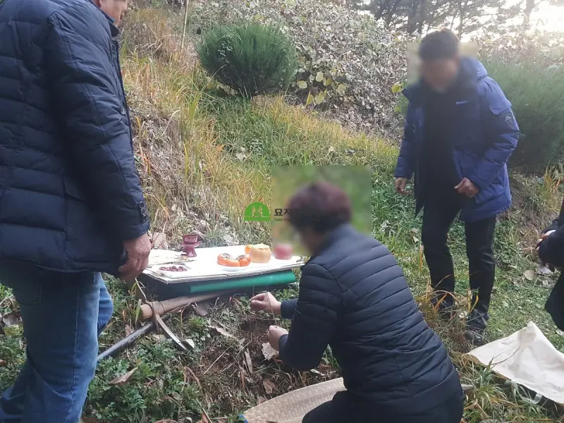 광양 묘지이장 현장 사진 - 광양 묘지이장 대나무 숲에 있는 분의 묘지개장 과정