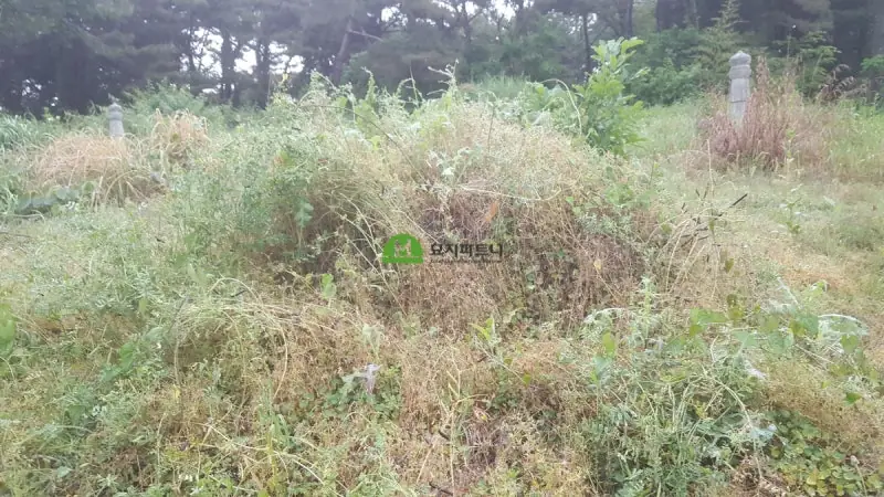 함평 묘지이장 현장 사진 - 함평 묘지이장 묘지개장 화장까지 진행하는 법