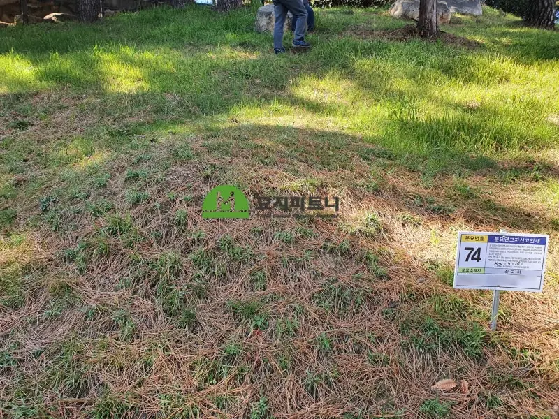 제주 묘지이장 현장 사진 - 아직까지도 자주 발견되는, 제주도 무연고묘지! 많은 이유는?