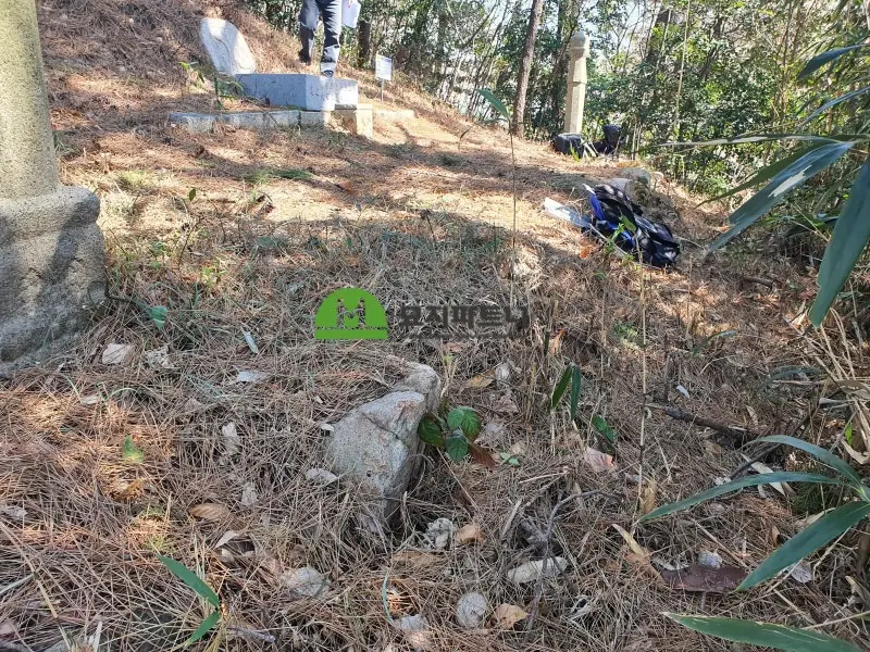 제주 묘지이장 현장 사진 - 아직까지도 자주 발견되는, 제주도 무연고묘지! 많은 이유는?
