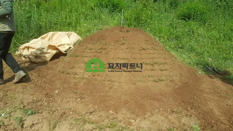 진안 묘지이장 현장 사진 - 진안 묘지개장 파묘전문업체