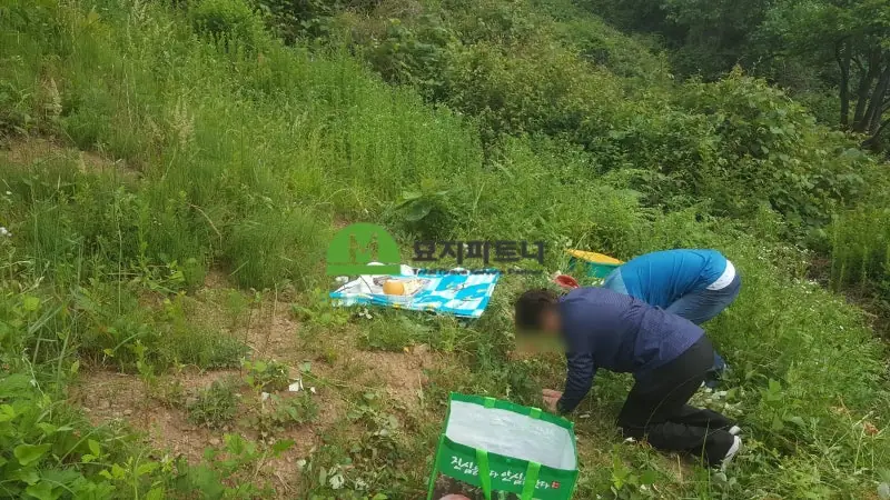 진안 묘지이장 현장 사진 - 진안 묘지개장 파묘전문업체