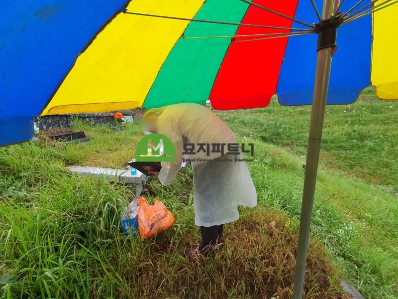 순창 묘지이장 현장 사진 - 순창 묘지이장 가격 전문성 확실한 곳