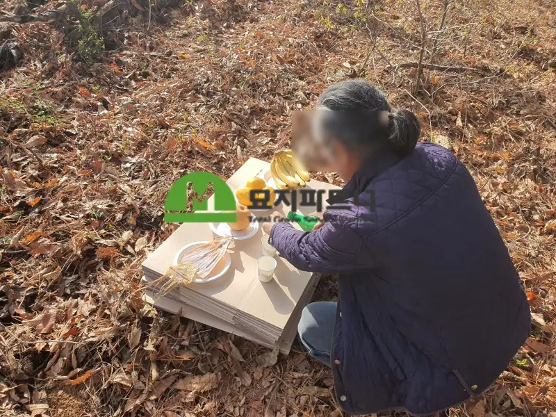 파주 묘지이장 현장 사진 - 파주 무연고분묘 처리 전국출장가능한 묘지파트너에서