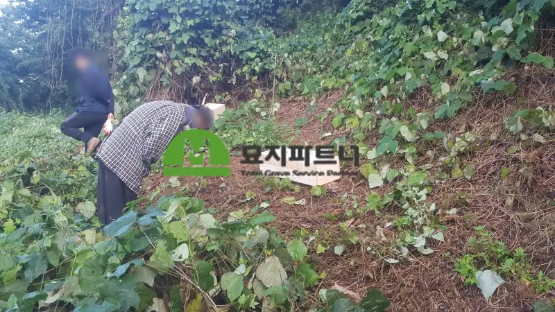 공주 묘지이장 현장 사진 - 공주 무연고분묘 처리 정성과 예를 다하여 마지막까지 처리합니다.