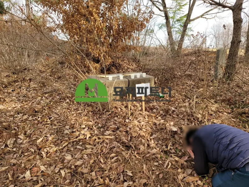 나주 묘지이장 현장 사진 - 나주 무연고분묘 처리, 지금 왜 중요 할까요?