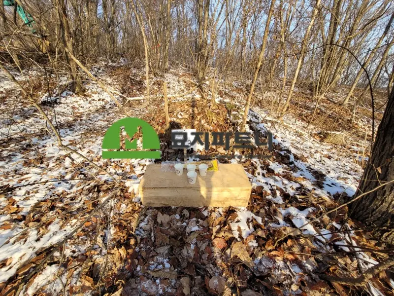 광주 북구 묘지이장 현장 사진 - 광주 무연고분묘 처리 상담은 묘지파트너가 함께 하겠습니다.