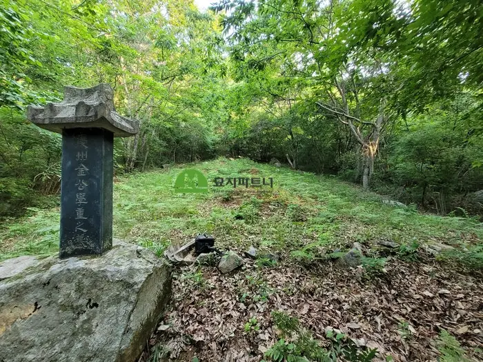 김제 묘지이장 현장 사진 - 김제 윤달묘지 이장 수목장을 선호하는 이유