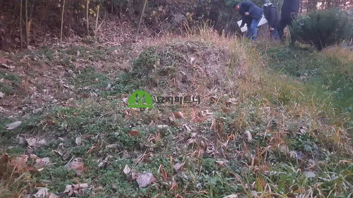 장수 묘지이장 현장 사진 - 장수 윤달 묘지이장을 위한 절차