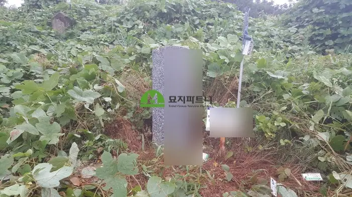 부안 묘지이장 현장 사진 - 부안 윤달 묘지이장 전문업체 자주하는 질문 모음