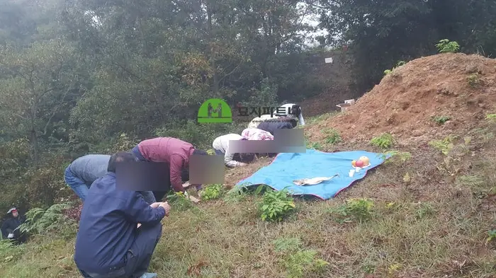 순창 묘지이장 현장 사진 - 순창 윤달 묘지이장 뒷처리까지 깔끔하게!