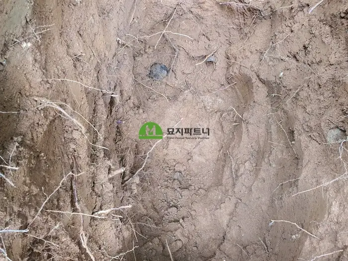 남원 묘지이장 현장 사진 - 남원 윤달 산소이장, 왜 올해 해야 할까?