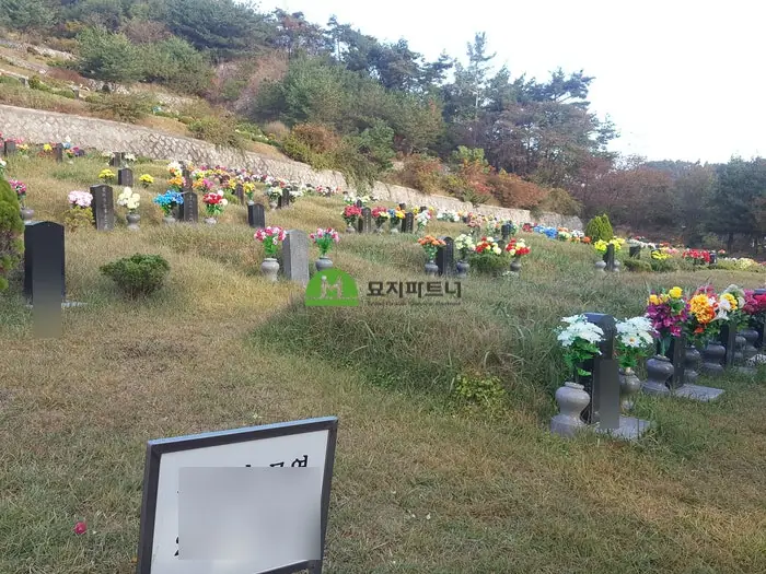 무주 묘지이장 현장 사진 - 꼭 해야 할까? 무주 윤달 산소이장 고인과 후손을 위한 선택