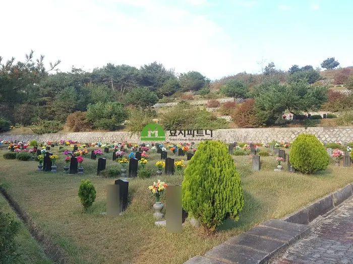 무주 묘지이장 현장 사진 - 꼭 해야 할까? 무주 윤달 산소이장 고인과 후손을 위한 선택
