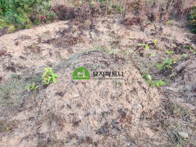 군산 묘지이장 현장 사진 - 군산 묘지 이장 마지막 길을 정성껏 준비하며